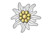 adler