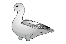 adler