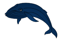 adler